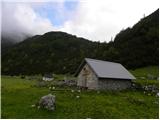 Pod Debelo glavo - Planina Poljana